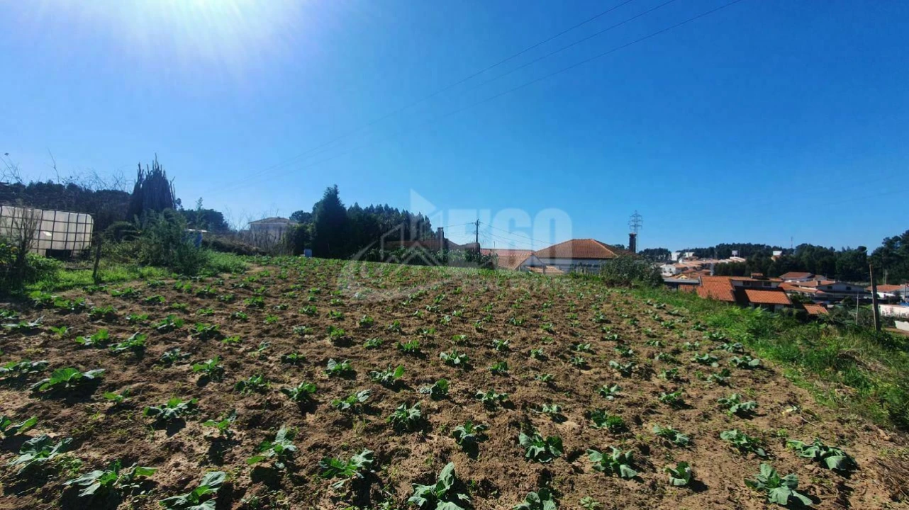 Terreno para Venda em Nogueira da Regedoura Foto 1
