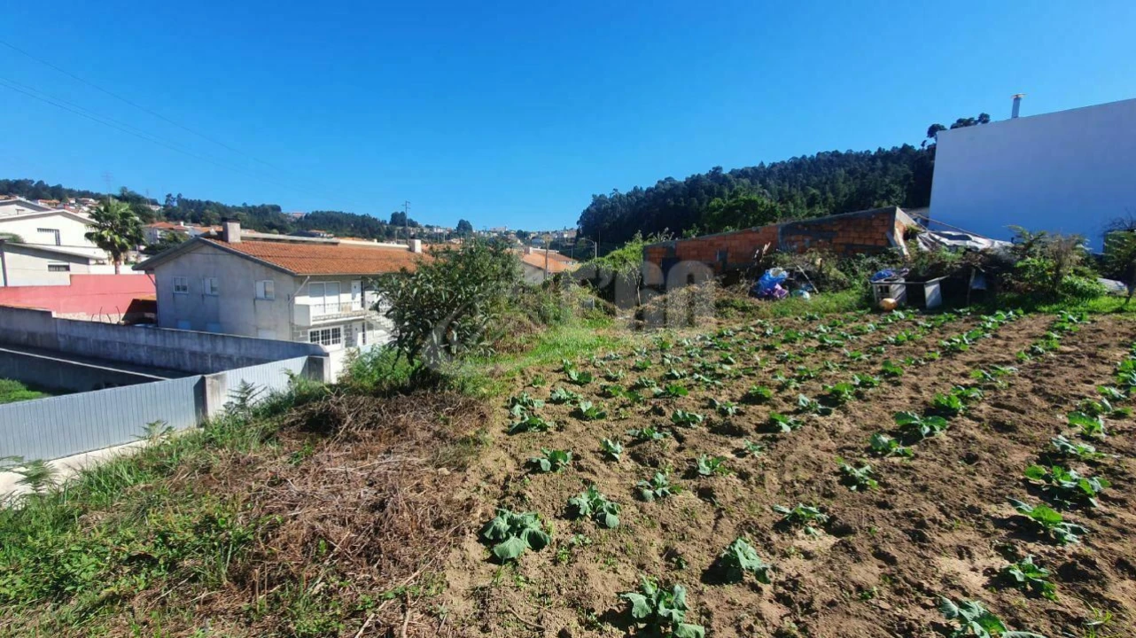 Terreno para Venda em Nogueira da Regedoura Foto 3