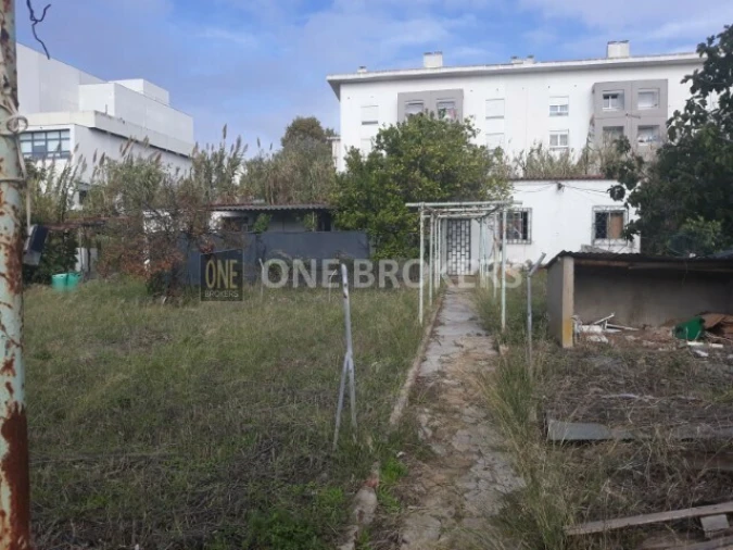 Terreno para Venda em Ajuda Foto 3