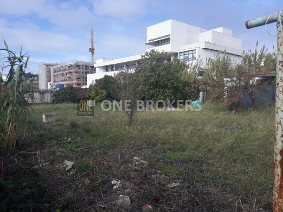 Terreno para Venda em Ajuda Foto 5