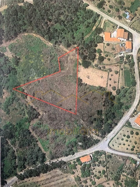 Terreno para Venda em Sertã