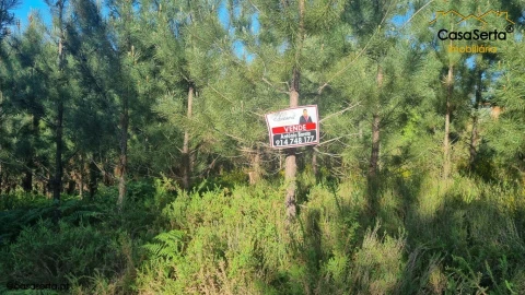Terreno para Venda em Sertã