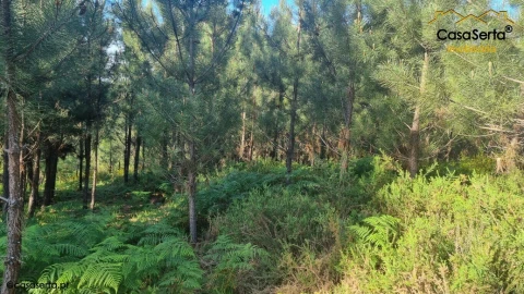 Terreno para Venda em Sertã