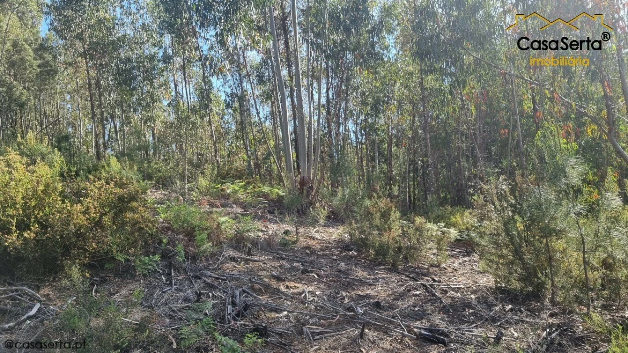 Terreno para Venda em Sertã Foto 8