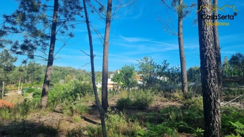 Terreno para Venda em Sertã