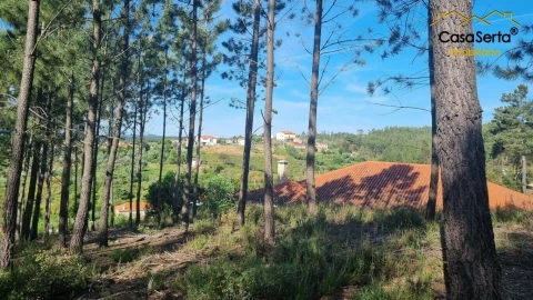 Terreno para Venda em Sertã