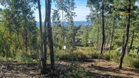 Terreno para Venda em Sertã