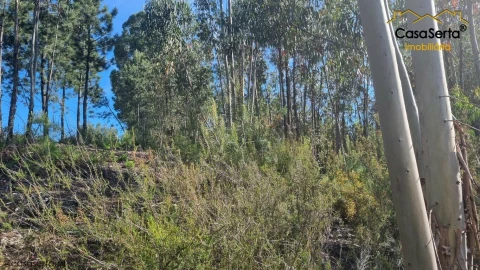 Terreno para Venda em Sertã