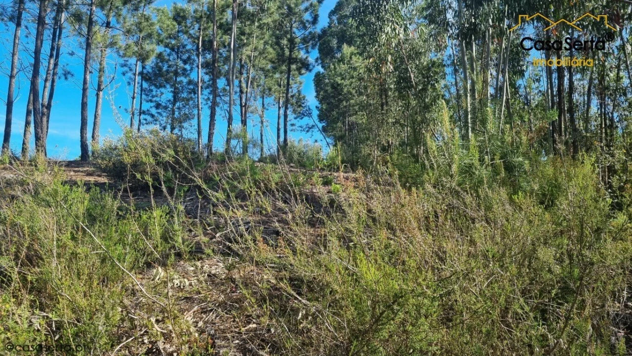 Terreno para Venda em Sertã Foto 7