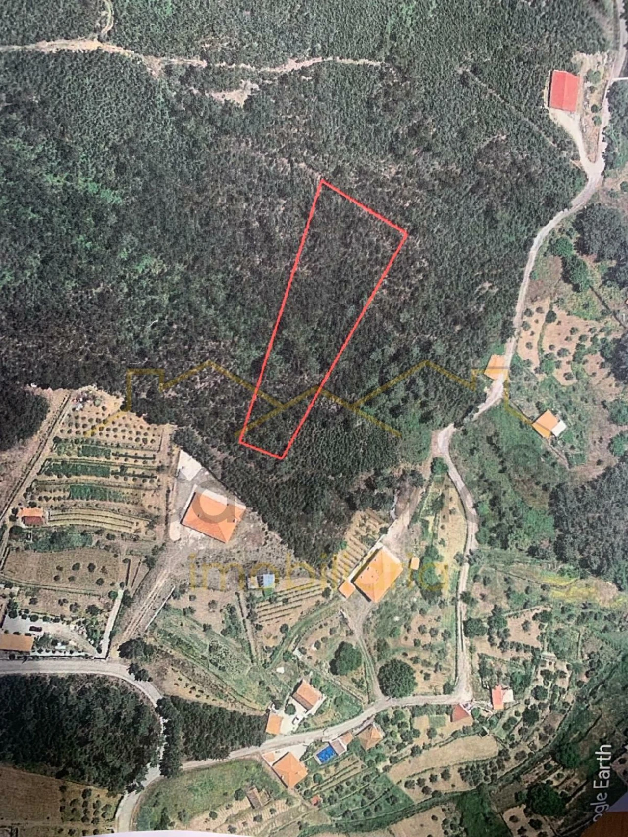 Terreno para Venda em Sertã Foto 2