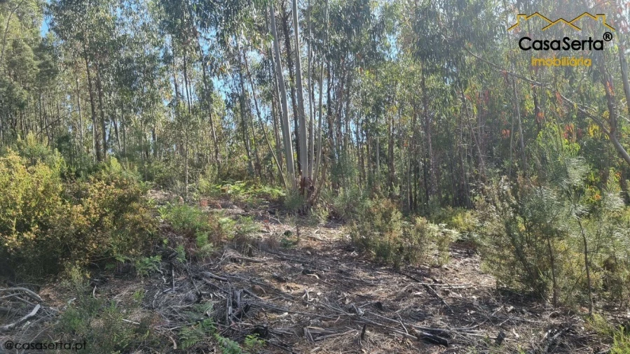 Terreno para Venda em Sertã Foto 8