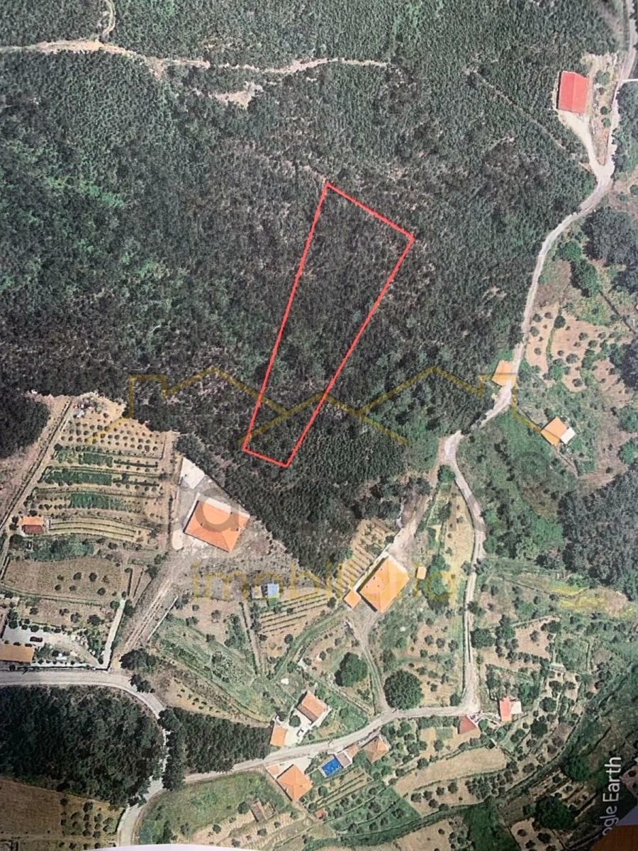 Terreno para Venda em Sertã Foto 2