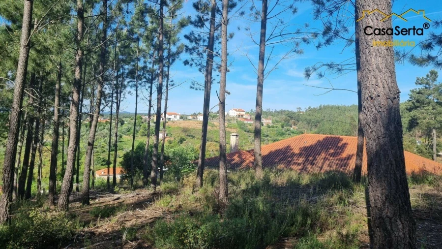 Terreno para Venda em Sertã Foto 3