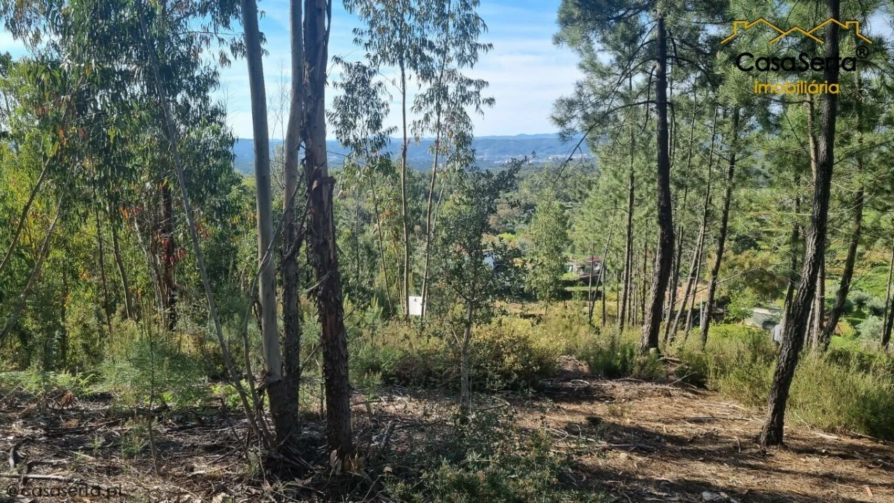 Terreno para Venda em Sertã Foto 6