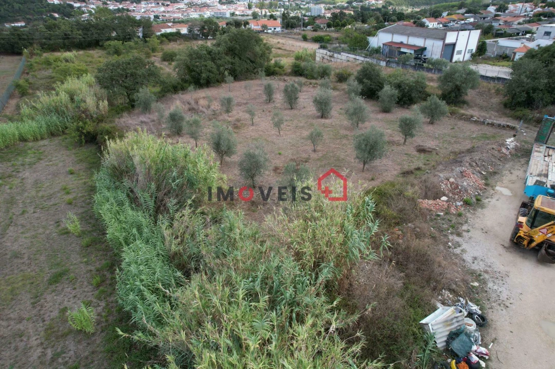 Terreno para Venda em Porto de Mós - São João Baptista e São Pedro Foto 5