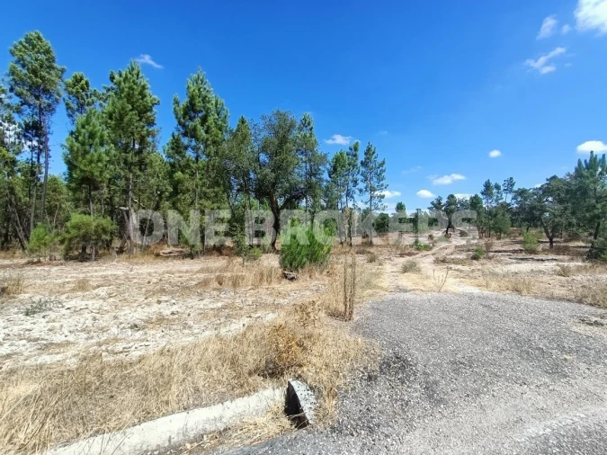 Terreno para Venda em Santana do Mato Foto 2