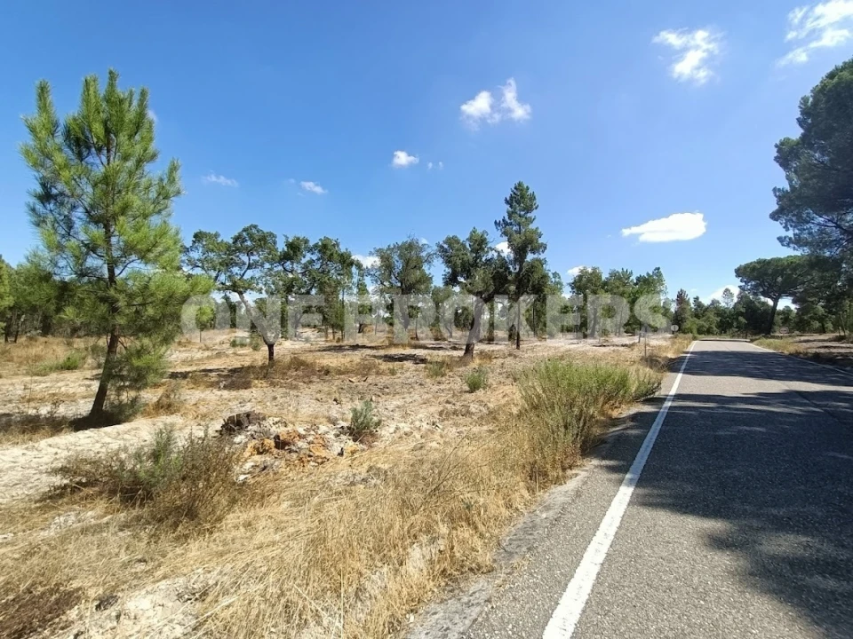 Terreno para Venda em Santana do Mato Foto 1
