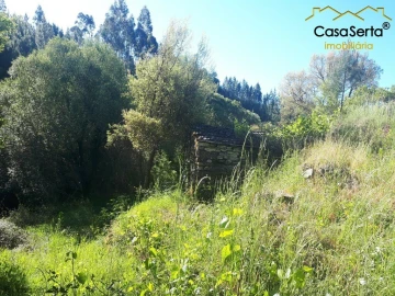 Terreno para Venda em Sertã