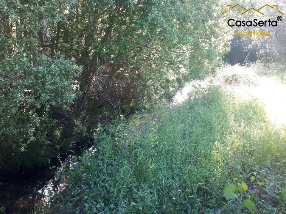 Terreno para Venda em Sertã Foto 2