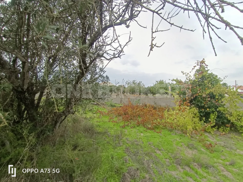 Terreno para Venda em Benavente Foto 19