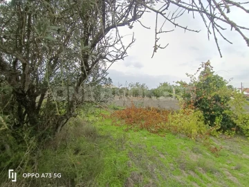 Terreno para Venda em Benavente