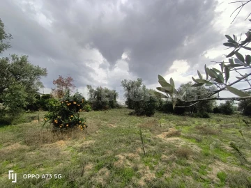 Terreno para Venda em Benavente