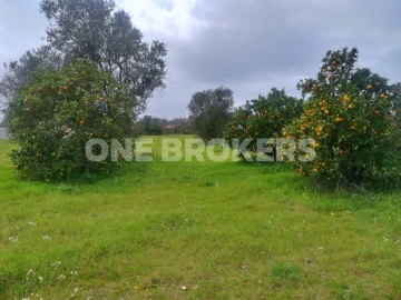 Terreno para Venda em Benavente