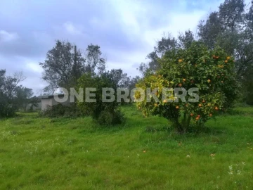 Terreno para Venda em Benavente