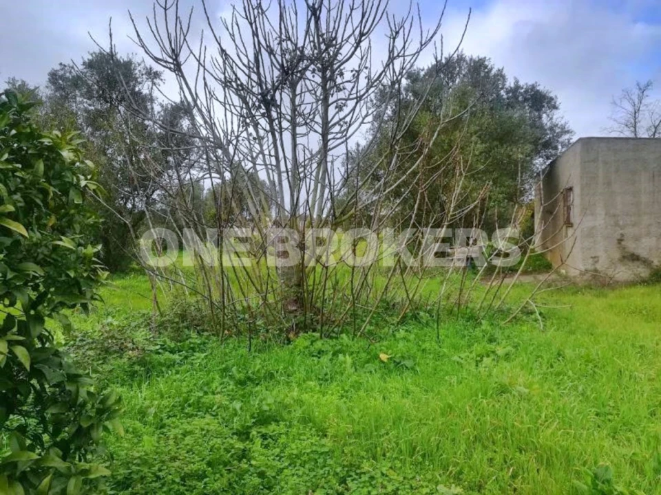 Terreno para Venda em Benavente Foto 12