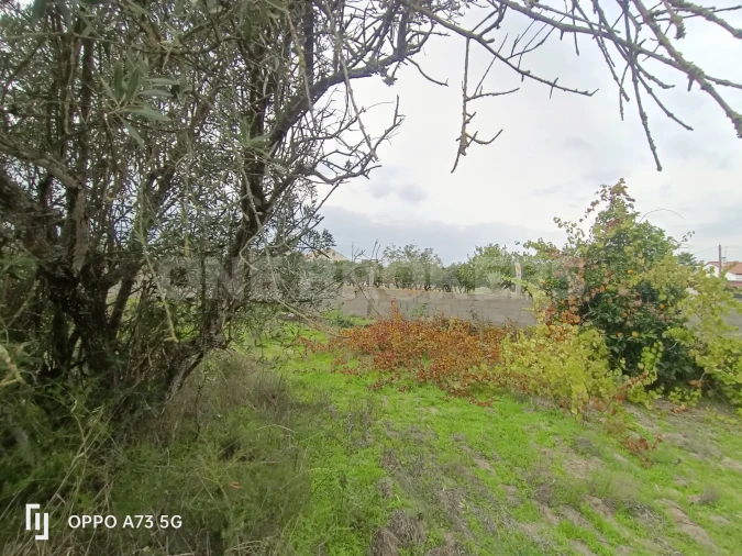 Terreno para Venda em Benavente Foto 19
