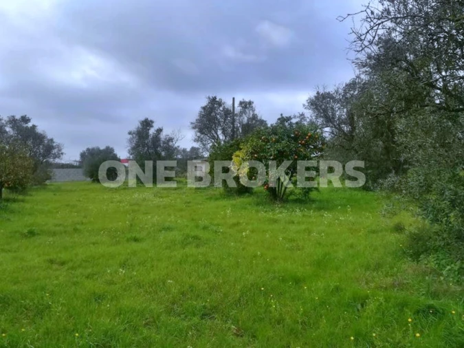 Terreno para Venda em Benavente Foto 6