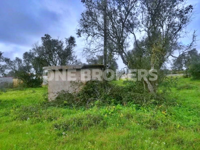 Terreno para Venda em Benavente Foto 11