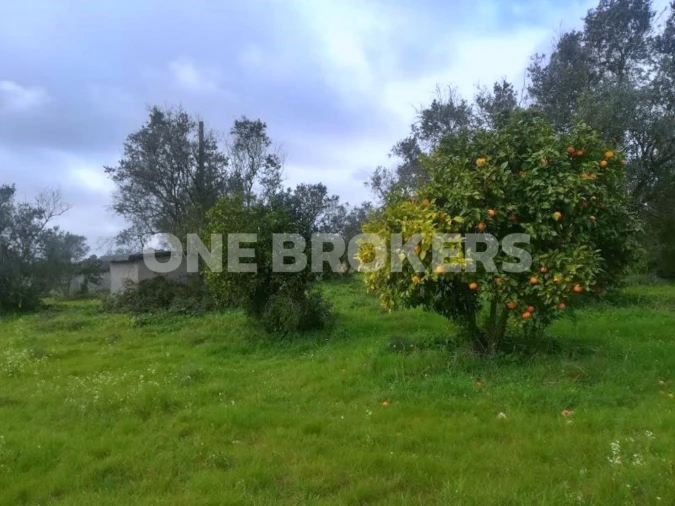 Terreno para Venda em Benavente Foto 16