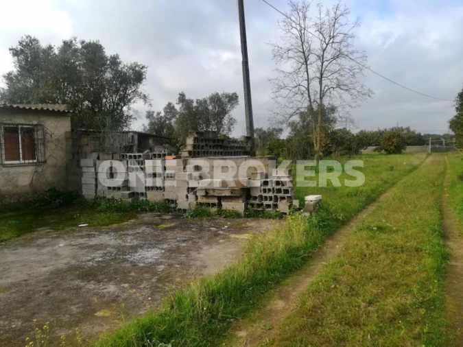 Terreno para Venda em Benavente Foto 8
