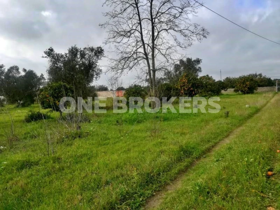 Terreno para Venda em Benavente Foto 7