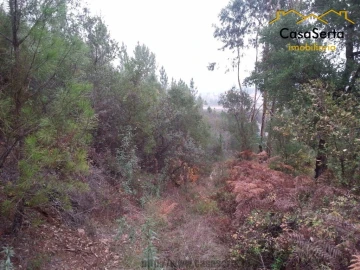 Terreno para Venda em Sertã