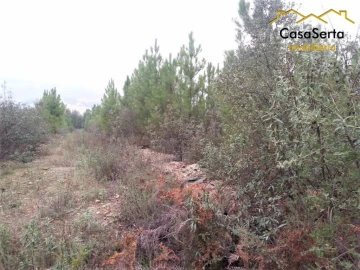 Terreno para Venda em Sertã