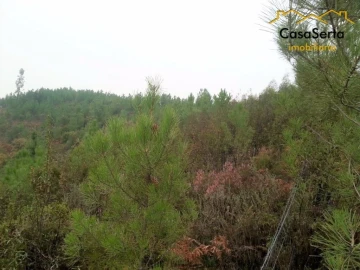 Terreno para Venda em Sertã