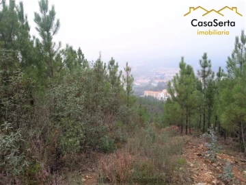 Terreno para Venda em Sertã