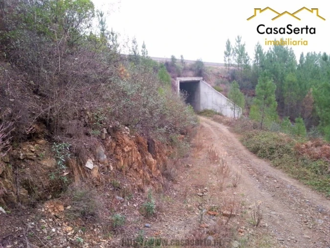 Terreno para Venda em Sertã Foto 7