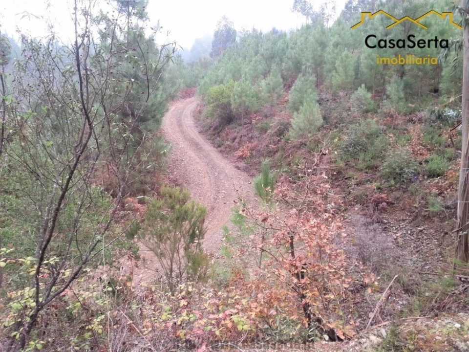 Terreno para Venda em Sertã Foto 6