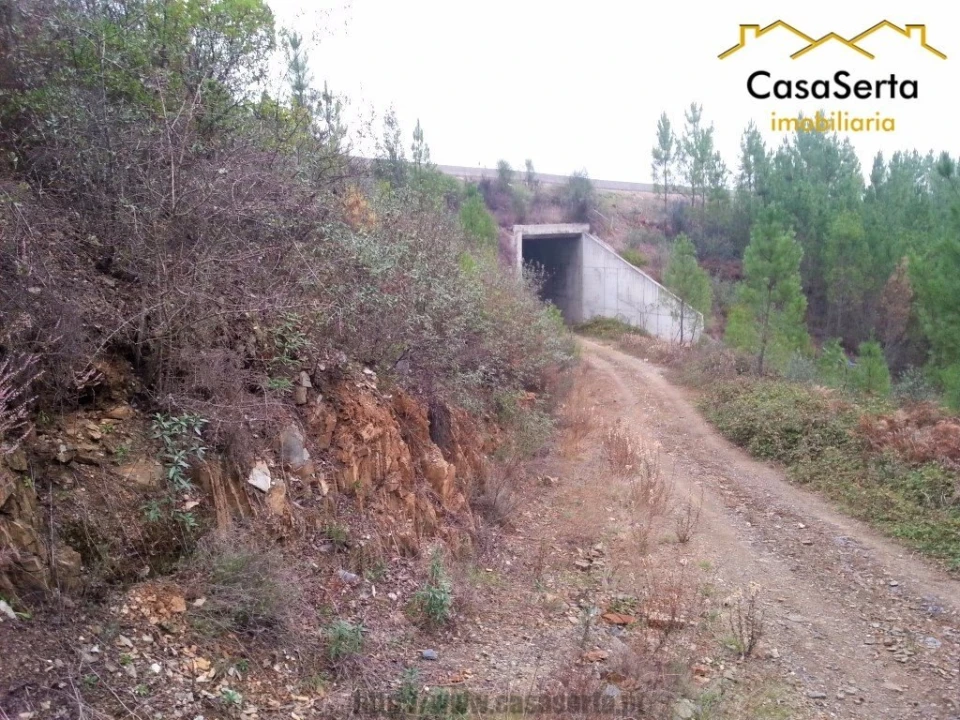 Terreno para Venda em Sertã Foto 7