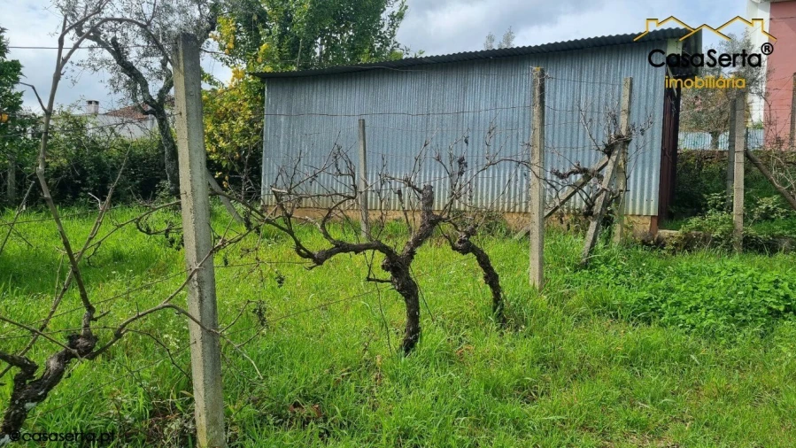 Terreno para Venda em Cabeçudo Foto 9