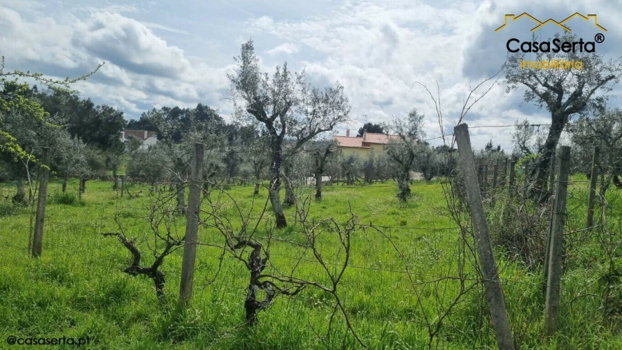 Terreno para Venda em Cabeçudo Foto 7