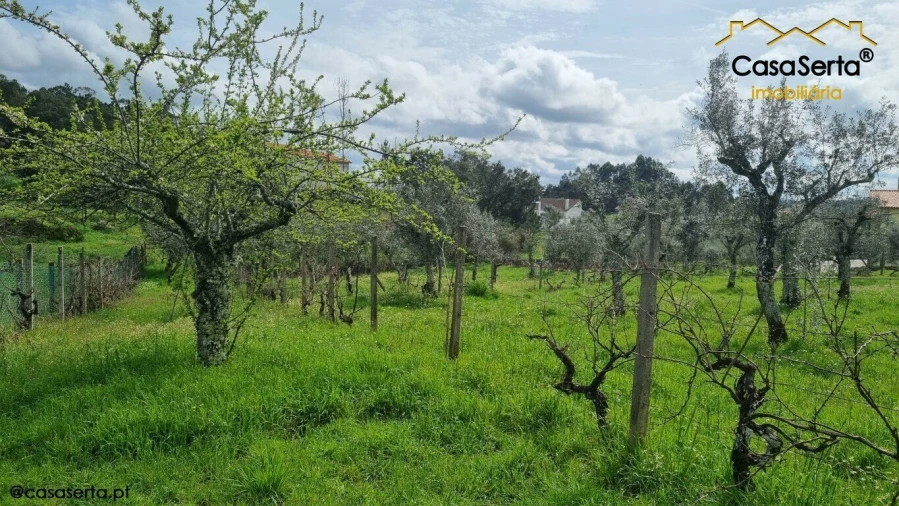 Terreno para Venda em Cabeçudo Foto 5