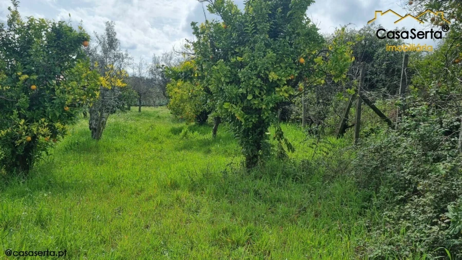 Terreno para Venda em Cabeçudo Foto 6