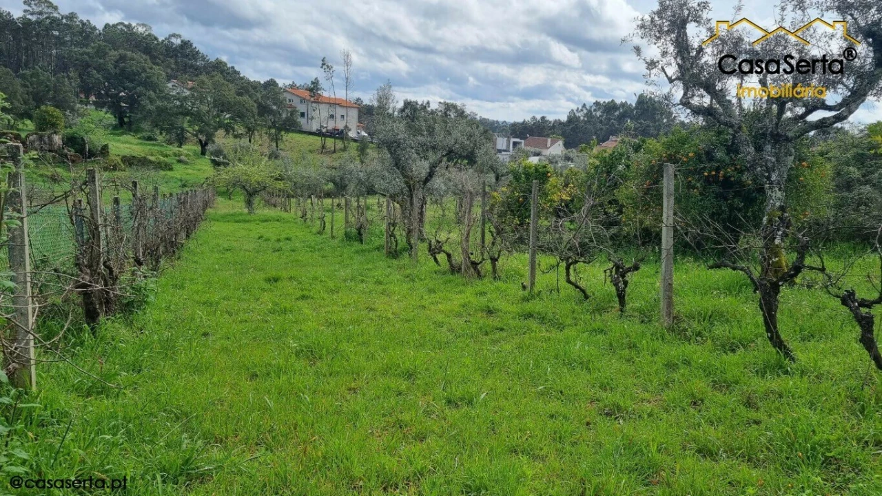 Terreno para Venda em Cabeçudo Foto 4