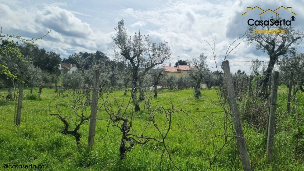 Terreno para Venda em Cabeçudo Foto 7