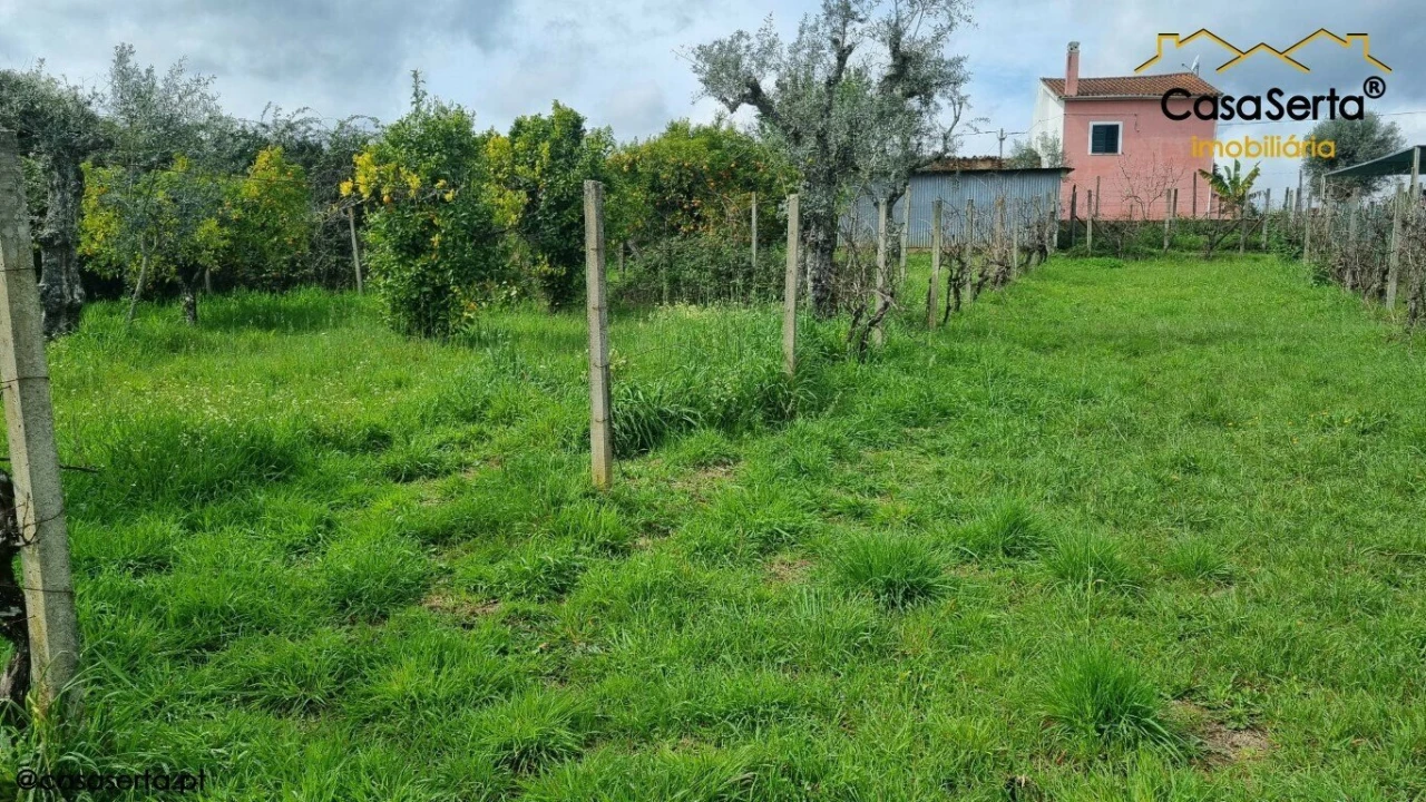 Terreno para Venda em Cabeçudo Foto 8