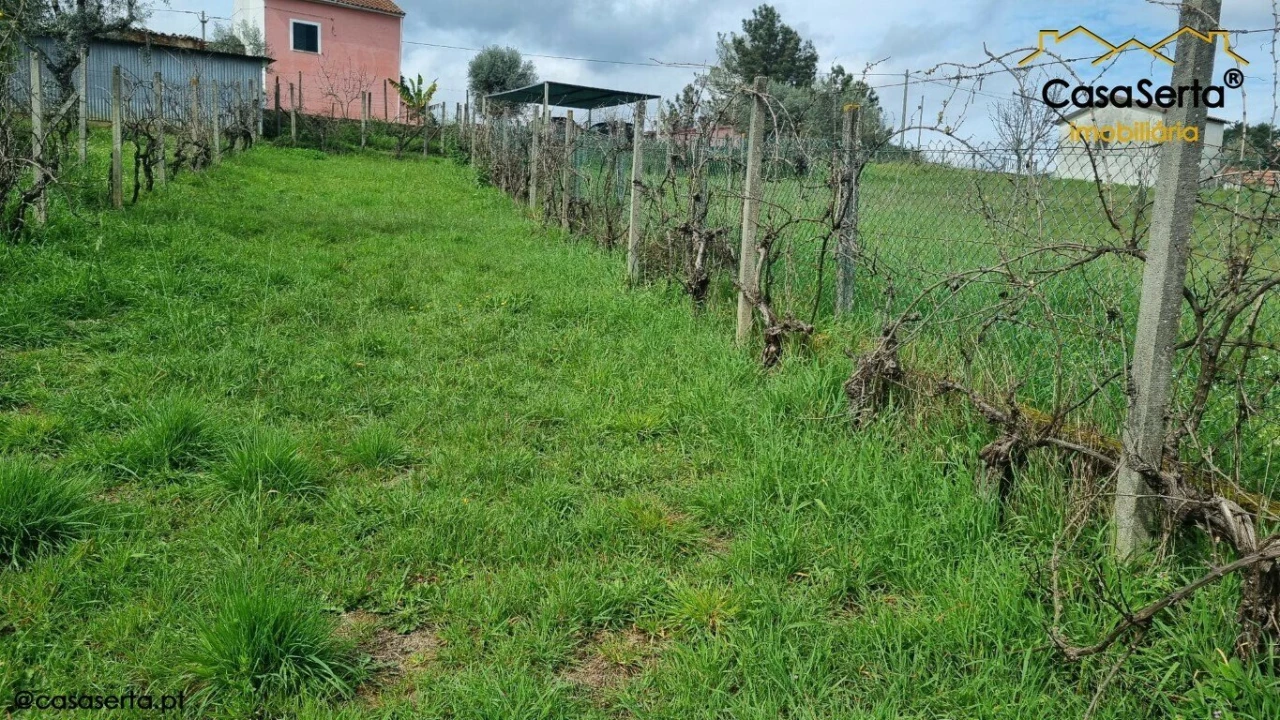 Terreno para Venda em Cabeçudo Foto 10